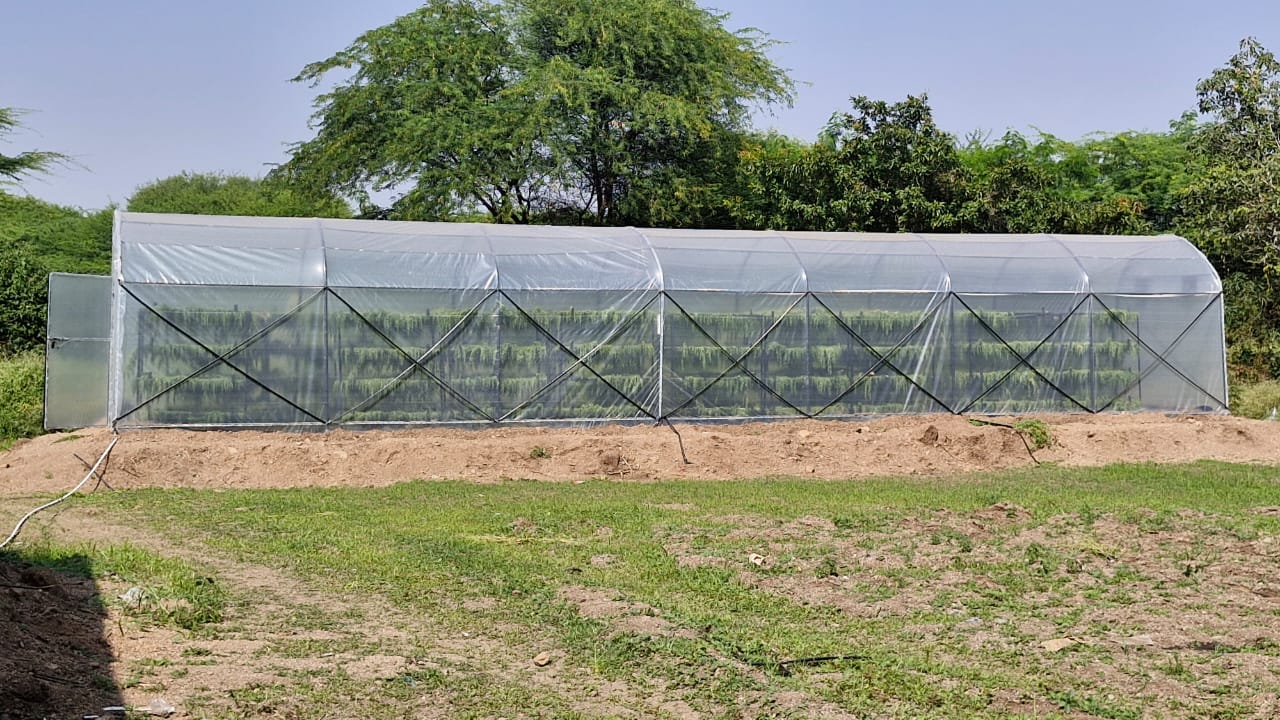 Sun Dryer Dehydration